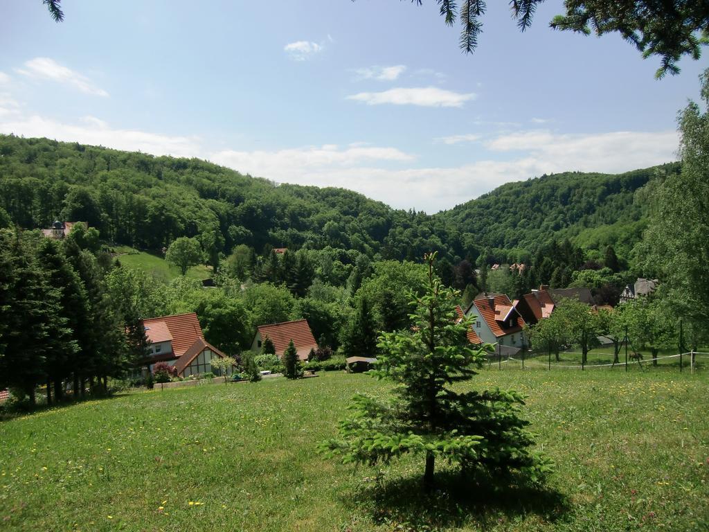 Ferienhaus Haus Am Wald Stolberg i. Harz Exteriér fotografie