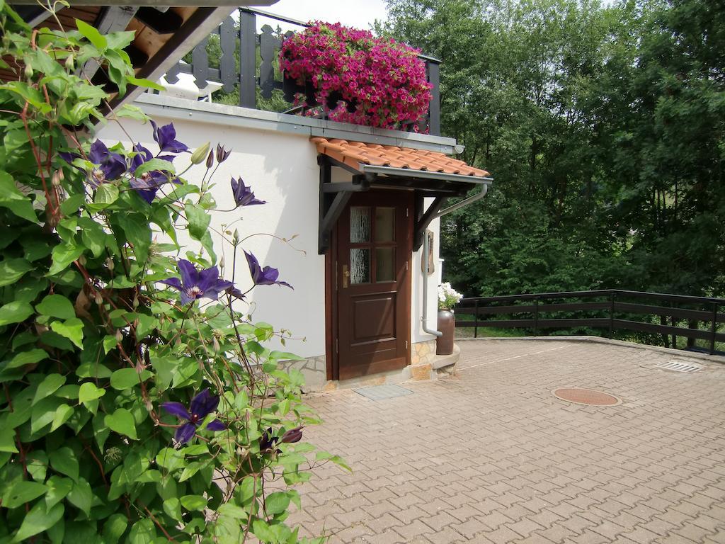 Ferienhaus Haus Am Wald Stolberg i. Harz Pokoj fotografie