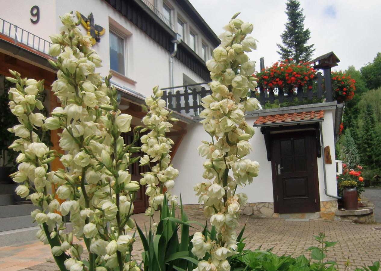 Ferienhaus Haus Am Wald Stolberg i. Harz Exteriér fotografie